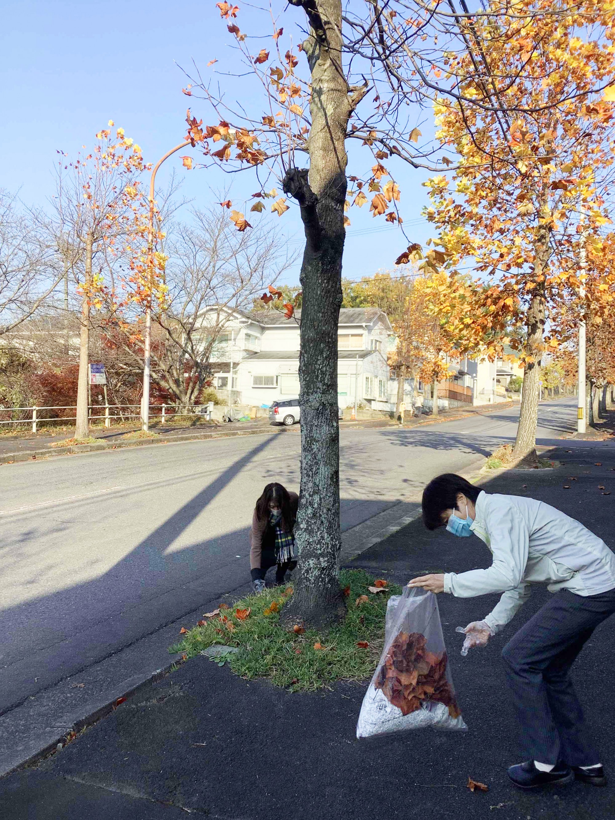②街路樹が秋色に色づきました